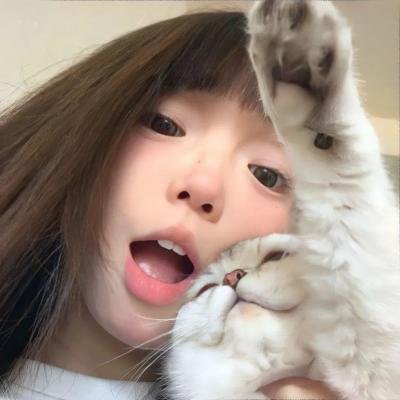 犬之力